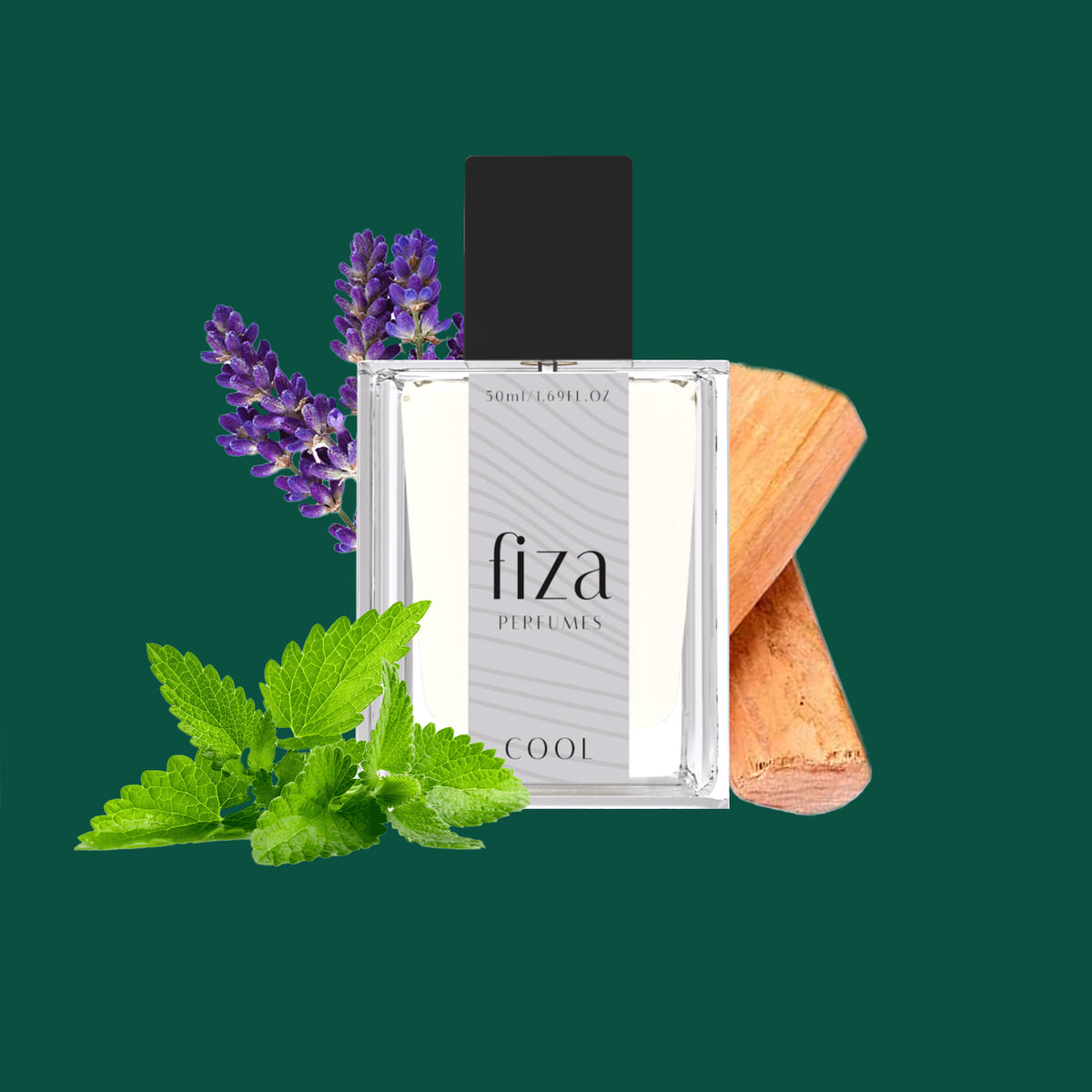 FIZA COOOL Perfume - Inspired by DAVIID OOFF Coool Water